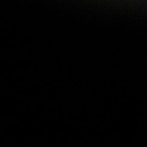 Meet your Posher, Audrey